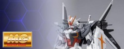 MG - Master Grade