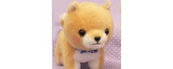 Mame Shiba
