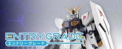 Entry Grade