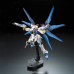00-61617 RG Strike Freedom Gundam Z.A.F.T. Mobile Suit ZGMF-X20A