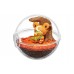 02-20659 Pocket Monsters Pokemon Terrarium Collection Vol. 11 Trading Figure (One Random)