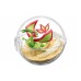 02-20659 Pocket Monsters Pokemon Terrarium Collection Vol. 11 Trading Figure (One Random)