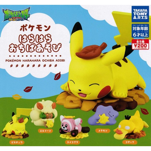 夏の夜彩るポケモン花火！THE POKEMON WEEKLYポケモン