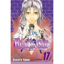 Black Cat, Volume 17