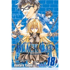 Black Cat, Volume 18