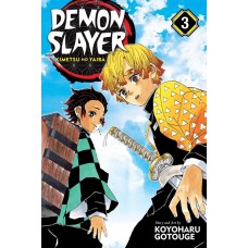 Demon Slayer: Kimetsu no Yaiba, Vol. 3