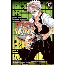 Demon Slayer: Kimetsu no Yaiba, Volume 17