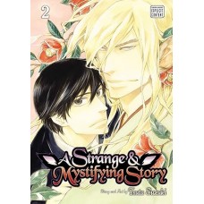 A Strange & Mystifying Story, Volume 2