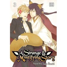 A Strange & Mystifying Story, Volume 3