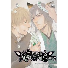 A Strange & Mystifying Story, Volume 5