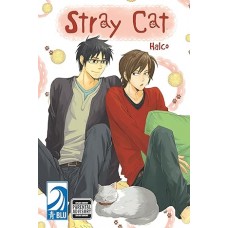 Stray Cat