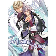 Missing Road