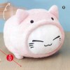 AMU-PRZ7344b Nemu Neko Tori Big Plush - Pink