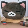 AMU-PRZ8030a Nemu Neko DX Plush Hachiware - Charcoal